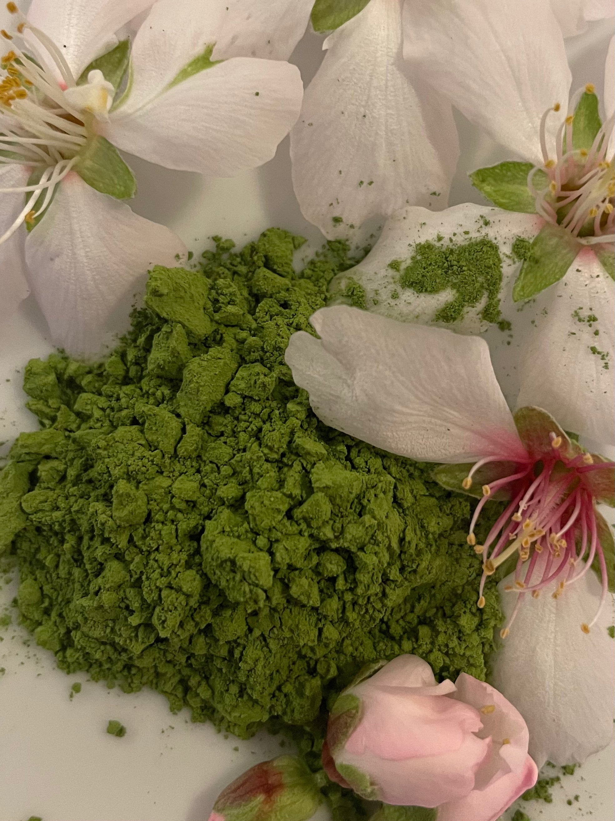 Maison Maizen Sakura Sunrise, Single-Estate Organic Matcha, 100G BAG