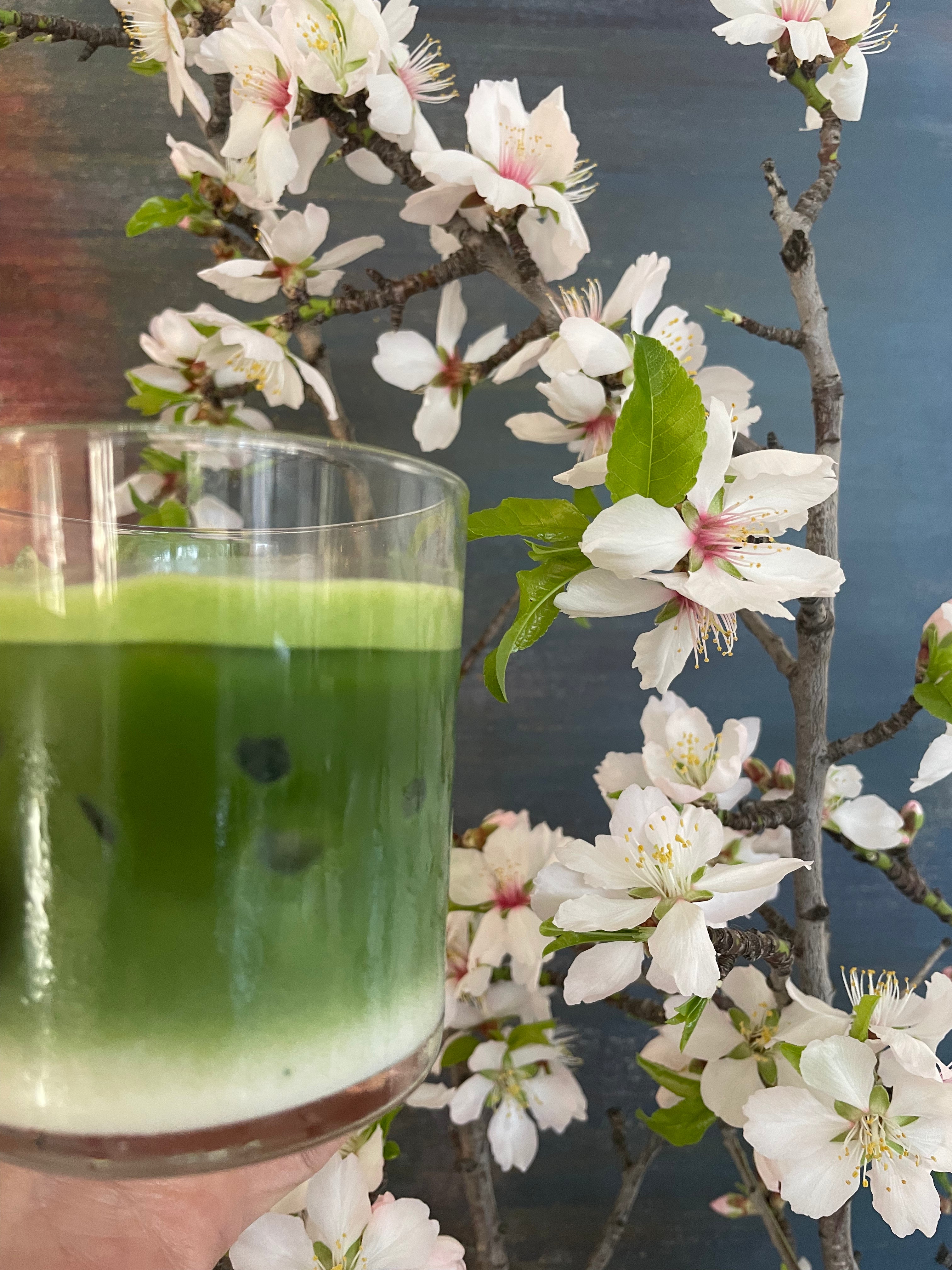 Maison Maizen Sakura Sunrise, Single-Estate Organic Matcha, 100G BAG