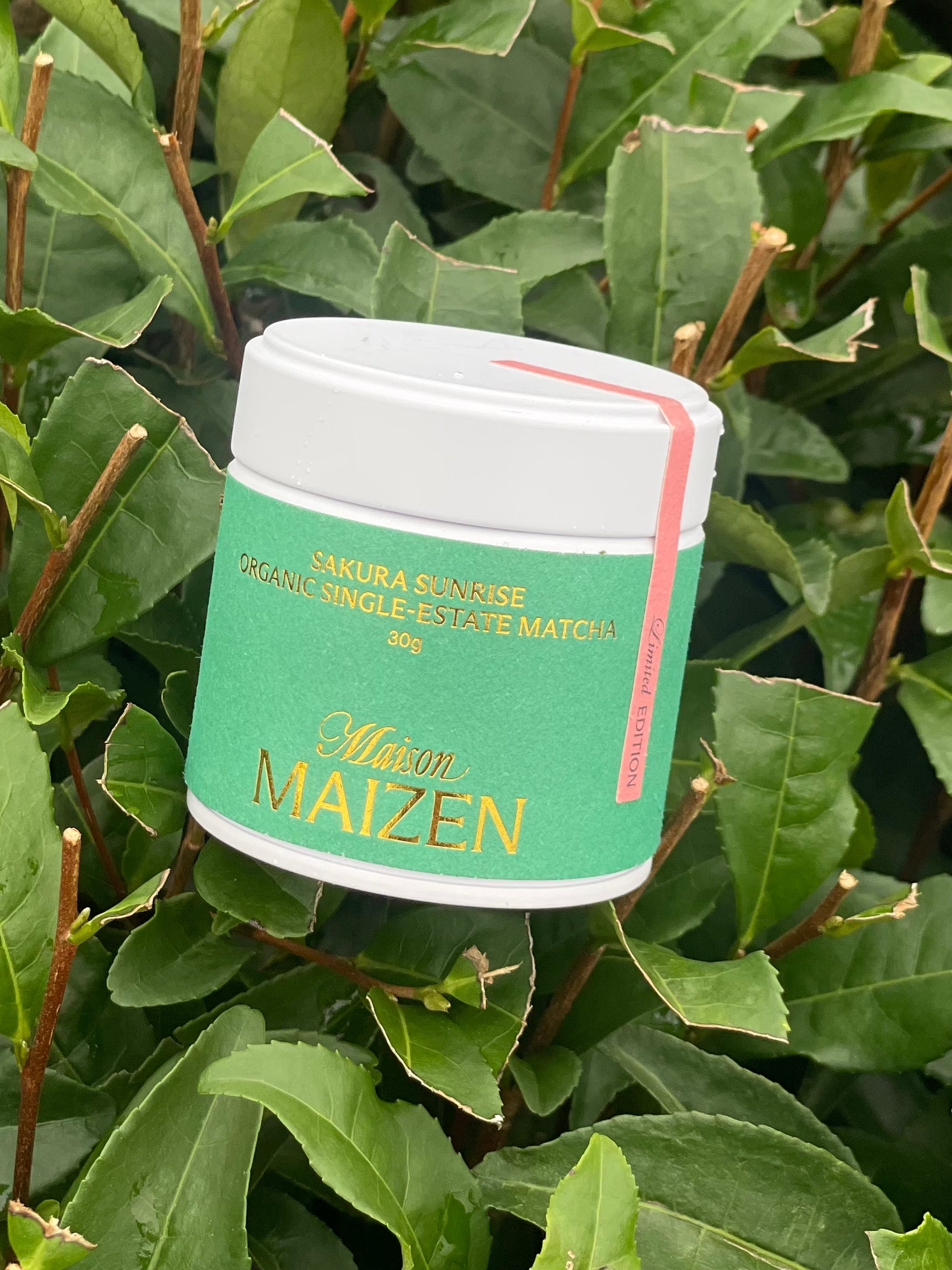 Maison Maizen Sakura Sunrise, Single-Estate Organic Matcha, 30G