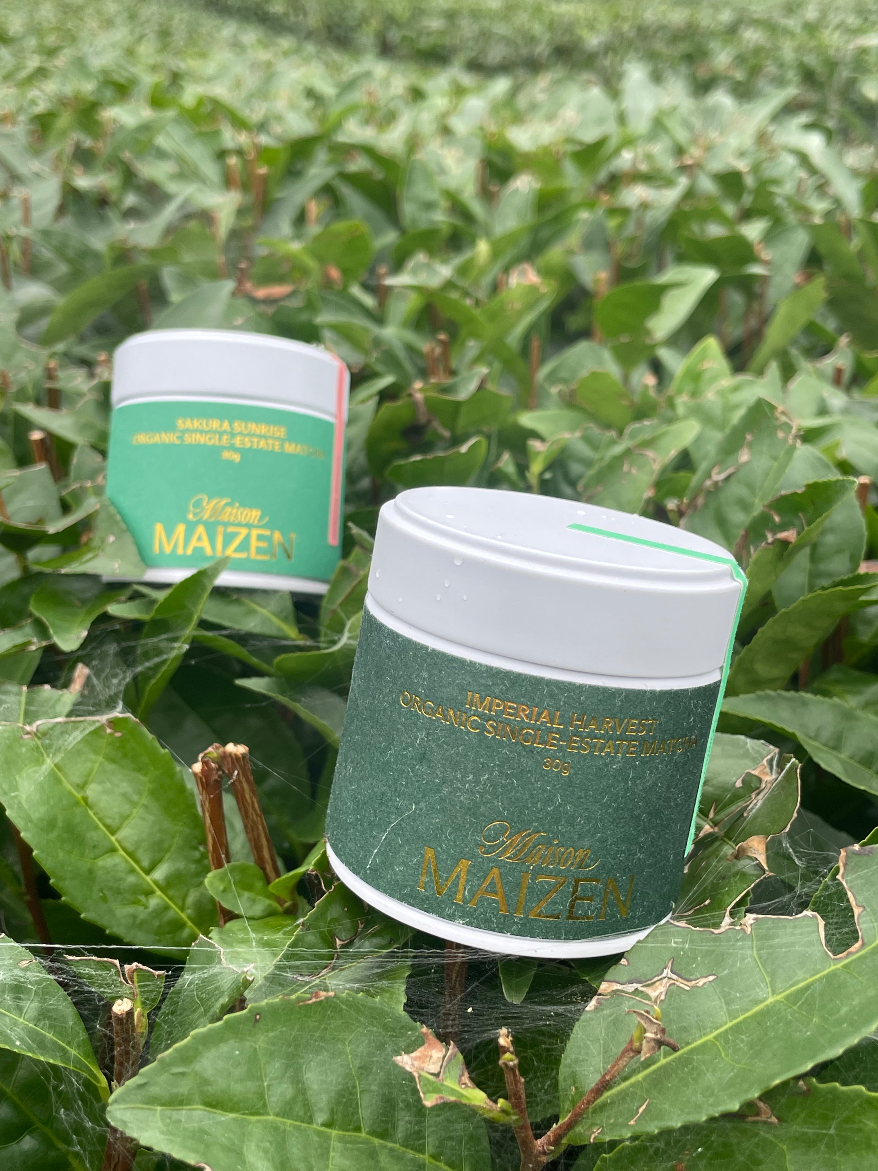 Maison Maizen Pinnacle Matcha DUO set